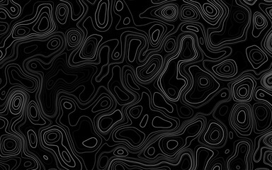 Vector illustration. Abstract contours form digital landscape. Abstract Topography line poster vector. The concept of a topographic contour geography scheme and the terrain path.   © Creative