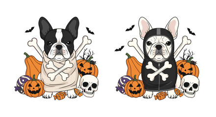 Fototapeta premium Two cute French bulldogs dressed in skeleton costumes for Halloween, surrounded by pumpkins, skulls, and candy. This festive illustration is isolated on white.