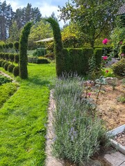 Beautiful garden design with an arch of thujas, lavender growing along the path.