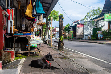 views of ubud market in bali, indonesia