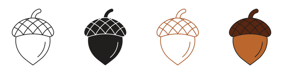 Acorns icon set, vector illustration. Vector acorn, oak fruit illustration.