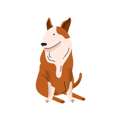 Bullterrier. Dog breed. Cute, funny pet. Domestic animal. Purebred dog. Cartoon vector illustration isolated on white background.