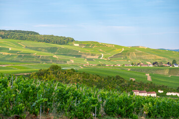 Obraz premium Aerial panoramic view on champagne vineyards and village Hautvillers near Epernay, Champange, France