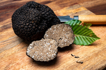 Delicious mushrooms, fresh black summer truffle mushroom from Italy for making truffle dishes with tasty aroma, culinary in France
