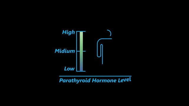 PARATHYROID Hormonal health good level on high measure scale. Instrument scale with silhouette of man icon animation on black background. 4k video