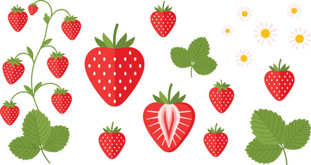 Fresh organic strawberry vector illustration set featuring whole strawberries sliced halves green leaves and white flowers isolated on white background for summer fruit design © Aminul