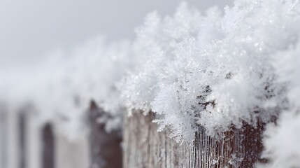 Close Up Of Delicate White Snowflakes Resting On Wooden Surface