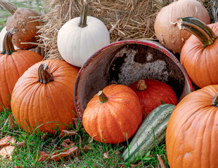 Gourds and pumpkins used in an outside rustic decorative display.