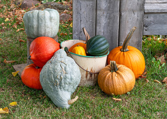 Rustic display of pumpkins and gourds.