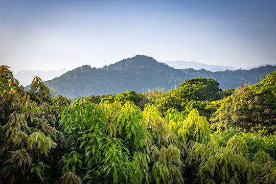 mountains of tayrona national park, tayrona, colombia, santa marta, caribbean, latin america, south america, rainforest, tropical 