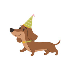 A cute cartoon dachshund wearing a festive hat on its head. Children's illustration on a white background.