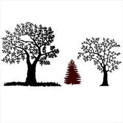 A set of black vector silhouettes featuring bare oak and forest trees with dead branches for a winter nature landscape illustration design