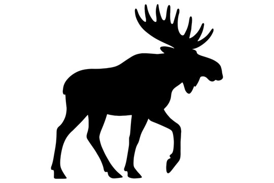 Moose silhouette vector,
Moose Vector Illustration &ndash; Black Silhouette Profile