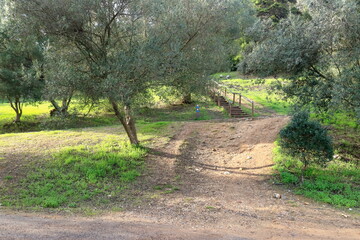 Obraz premium Parque florestal de Monsanto, Lisboa, Portugal