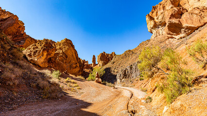 Obraz premium Charyn Canyon, Valley of Castles. The excellence of Kazakhstan. Panorama of natural unusual landscape