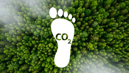 Reducing your carbon footprint through reforestation and sustainable practices is essential for a healthy planet and future generations to thrive.