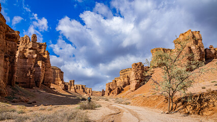 Fototapeta premium Charyn Canyon, Valley of Castles. The excellence of Kazakhstan. Panorama of natural unusual landscape