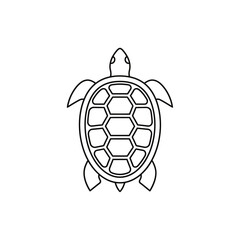 Fototapeta premium Minimalist Sea Turtle Outline Art Ocean Wildlife Line Drawing