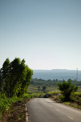 Rural Road Toward the Misty Mountains