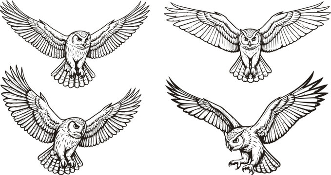 Owl silhouette vector set, flying owl illustrations, detailed bird of prey graphics, wings spread poses for tattoo, logo, wildlife and design use