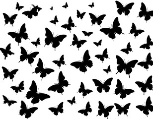 Black butterfly silhouettes scattered against a stark white background, creating an abstract and dynamic pattern