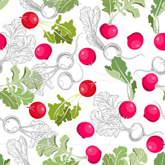 Radishes. Seamless pattern. Colored silhouettes and monochrome contours on white. Vector food background. Perfect for design templates, wallpaper, wrapping, fabric, print and textile.