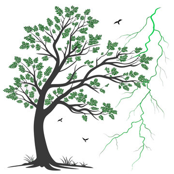 A striking illustration depicts a dark tree with lush green leaves a bright lightning bolt and birds in flight against