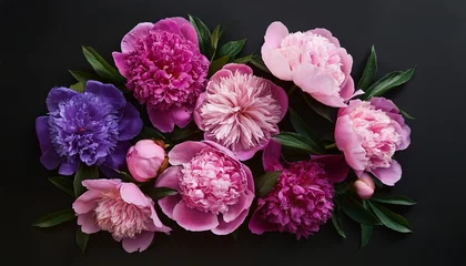 Fototapete Pfingstrosen Draufsicht Auf Eine Flache Voll Mit Lila Und Rosa Pfingstrosenblumen Auf Schwarzen Untergrund  © Madyson