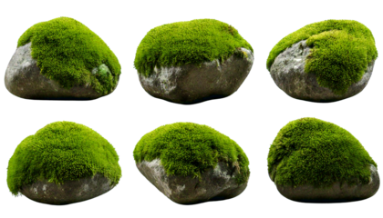 Textured grey stones, covered in lush green moss, isolated on a transparent background, cuto.png