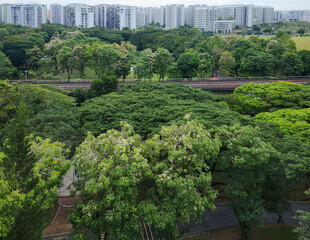 Obraz premium A train passed by the Sun Plaza Park, Tampines heartland district during bloom season - Singapore.