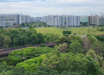 Fototapeta premium A train passed by the Sun Plaza Park, Tampines heartland district during bloom season - Singapore.