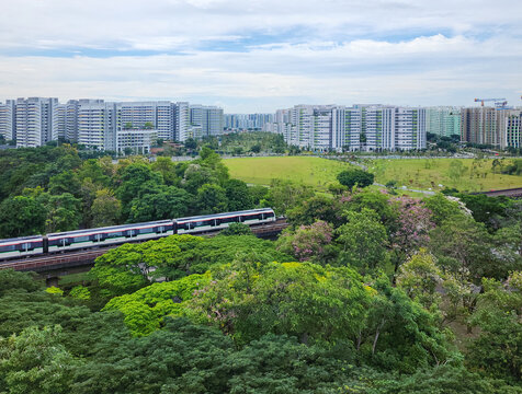 A train passed by the Sun Plaza Park, Tampines heartland district during bloom season - Singapore.