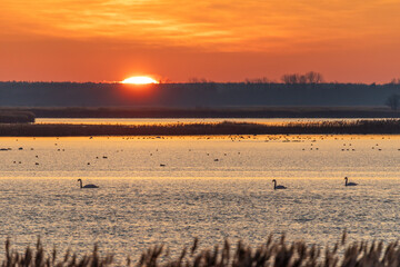 Sonnenuntergang am Bodden vor Zingst.