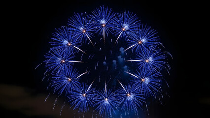Vibrant fireworks display