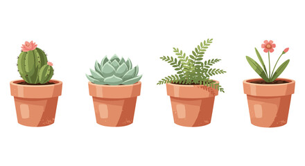 Fototapeta premium Four potted plants including cactus, succulent, fern, and flower on white background