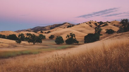 Obraz premium Golden Hour Landscape - Rolling Hills and Trees Under a Pink Sky.