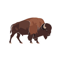 Majestic American Bison Standing Proudly in Profile.