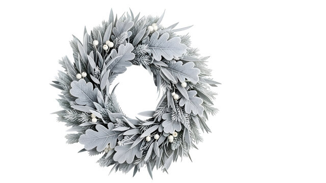 Elegant silver frost winter wreath with oak leaves and white berries for christmas holiday decoration isolated on transparent background