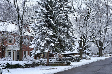 Residential street with row of houses in winter