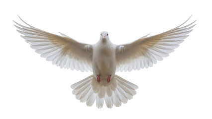 Fototapeta premium Graceful white dove flying isolated PNG on transparent background, symbol of peace and freedom for design projects