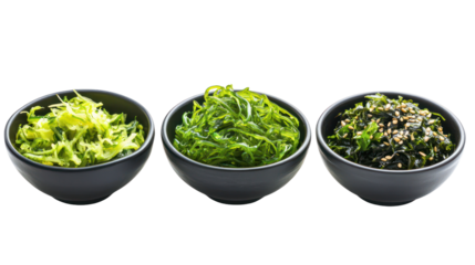 Three Sets of Japanese Seaweed Dishes Including Wakame, Nori, and Aonori on transparent background