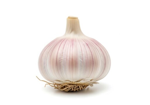 Single fresh garlic bulb isolated on white background - Powered by Adobe