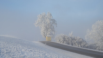 winter landscape with snow