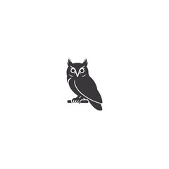owl on white background