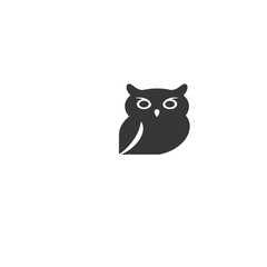 owl on white background