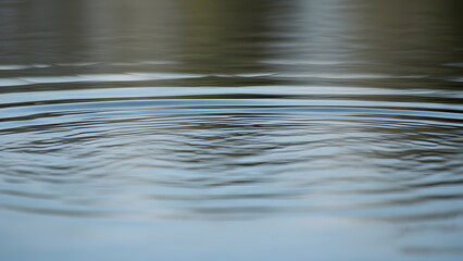 Gentle concentric ripples expand across the tranquil surface of calm water, creating a soothing and abstract texture.