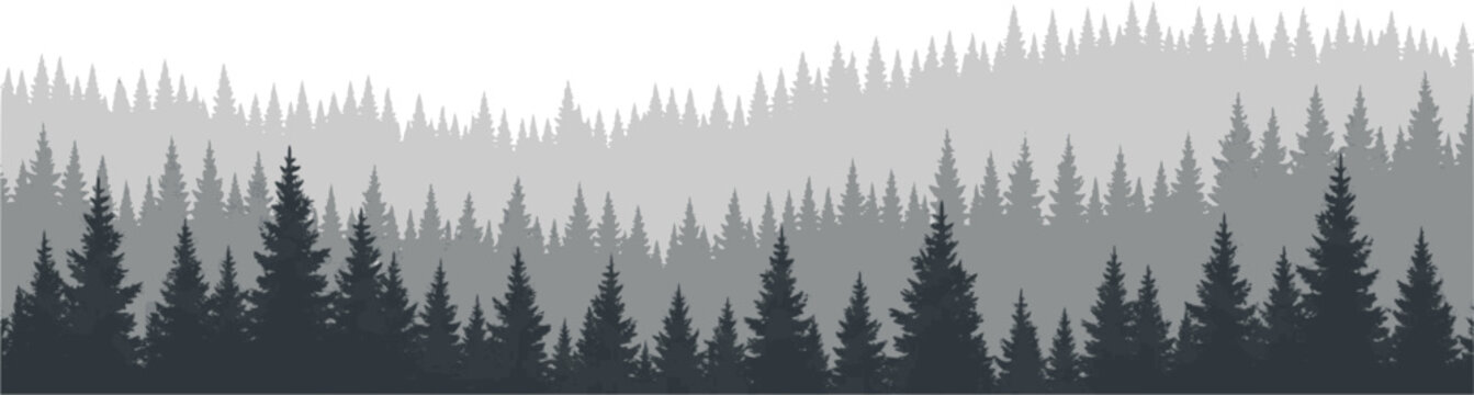 Seamless silhouette forest landscape with multiple rows of pine trees