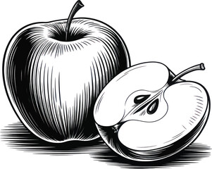 Hand drawn vintage apple illustration with whole and sliced fruit in detailed black and white engraving style isolated on white background.