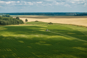 Obraz premium Aerial view shows a lone tractor maintaining a vast field, bordered by golden grain and a dark tree line, rows curving toward the horizon under drifting cloud shadows.