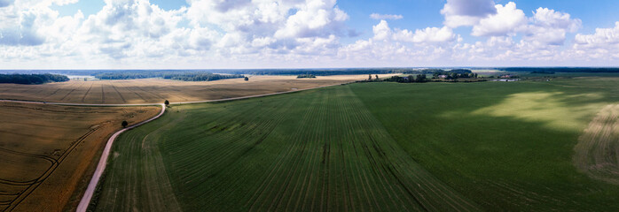 Aerial view of expansive farmland shows green and golden crop blocks, tractor lines, a pale dirt lane, a straight rural road with a car, and a thin forest belt. © True Pixel Art
